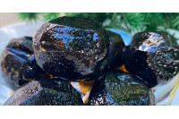 Ceviz Reçelinin Püf Noktaları