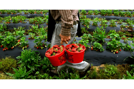 Bir girişimcilik hikayesi: Şirin Eli