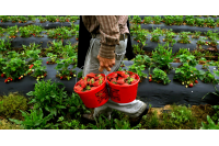 Bir girişimcilik hikayesi: Şirin Eli