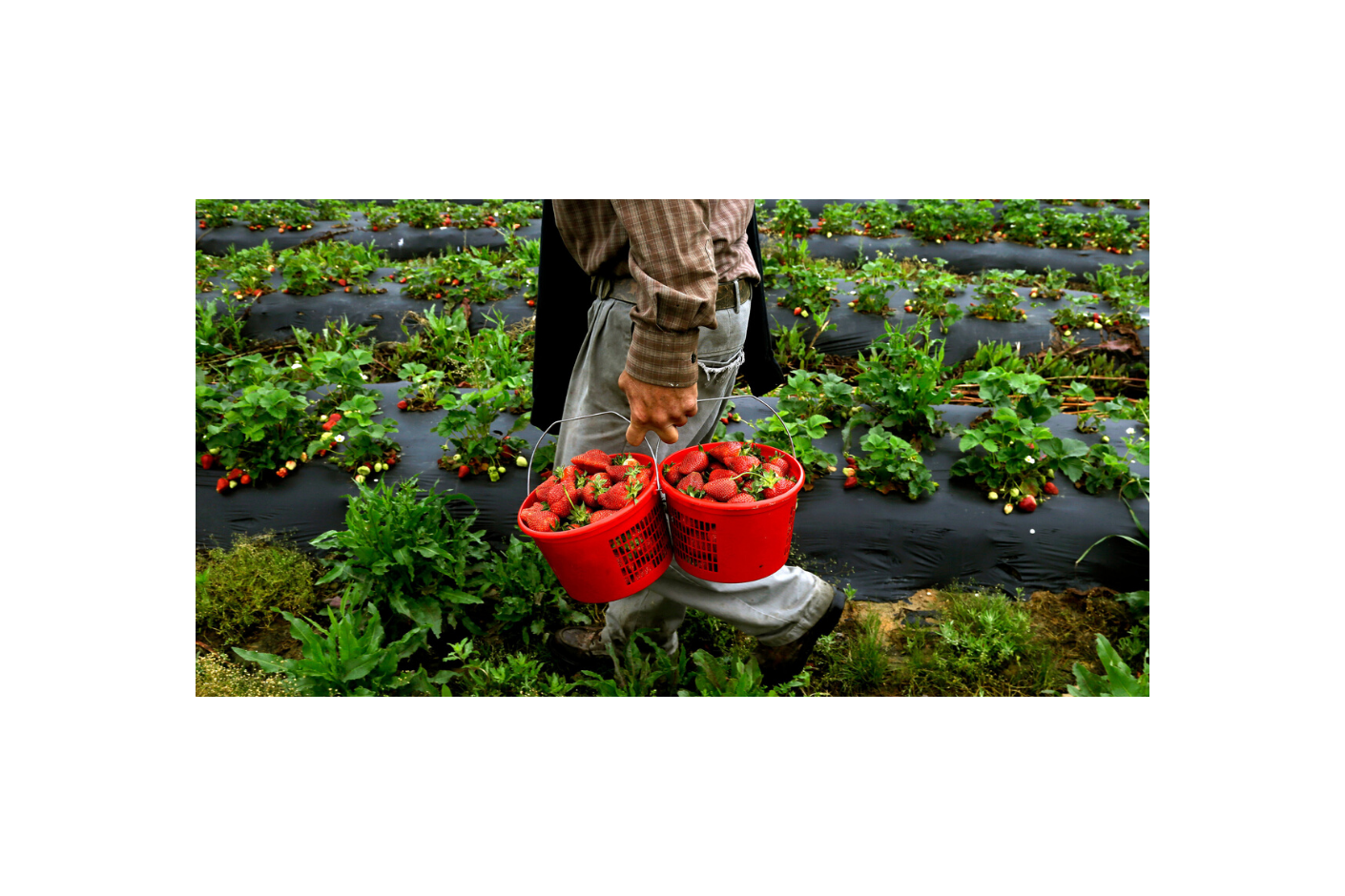Bir girişimcilik hikayesi: Şirin Eli
